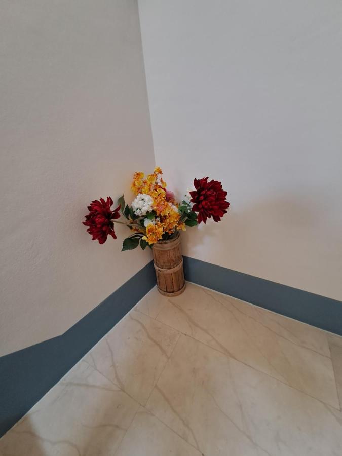 Sobe Mamalu Acomodação com café da manhã Valun Exterior foto